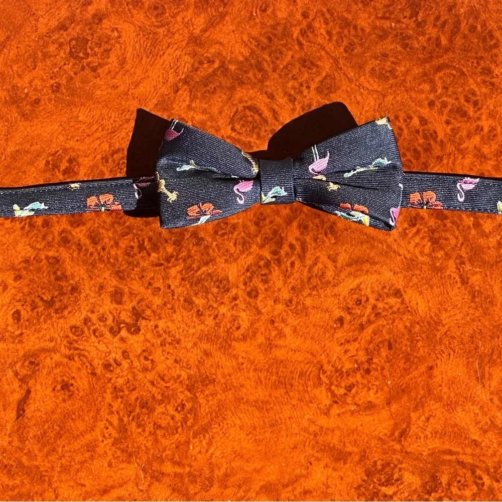 Janie and Jack, etc Bow Ties - Bundle of 4